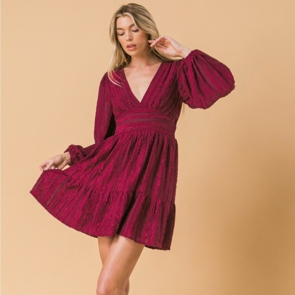 Flying Tomato V-Neck Long Sleeve Textured Mini Dress in Wine